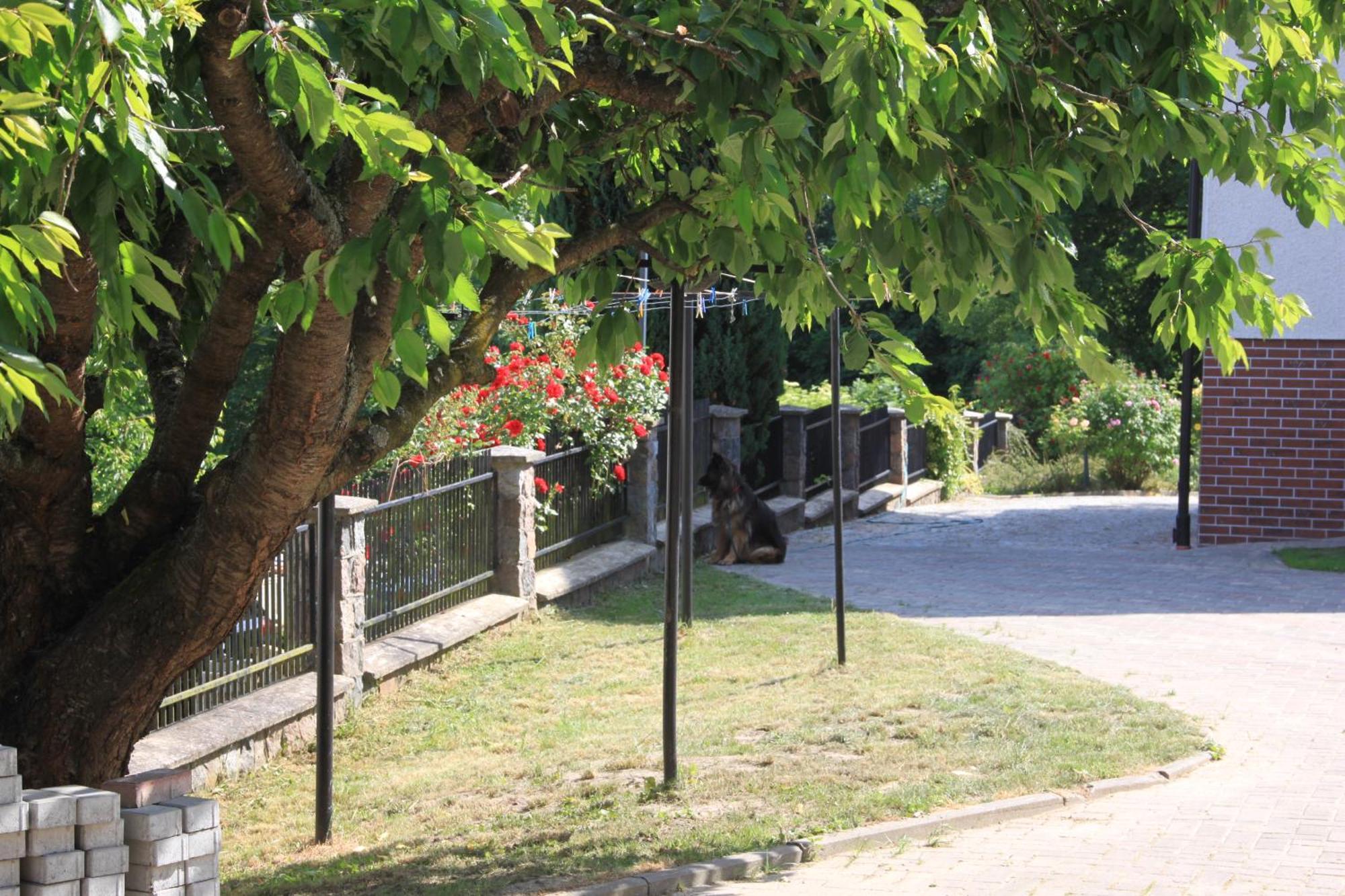 Mira - Mira Pokoje Z Widokiem Na Jezioro ชเมียวล์โน ภายนอก รูปภาพ